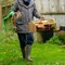 Gardenised Vintage Harvest Basket Pine Wood & Metal Mesh Wire Design Wooden Frame with Straight Handle for Fruits Vegetables Kitchen Organization Decorative Storage Home Décor & Garden Display